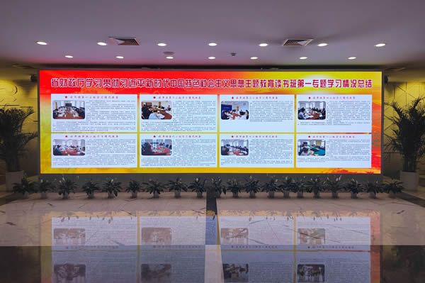 國內(nèi)有哪些COB顯示屏廠家做得比較好的？